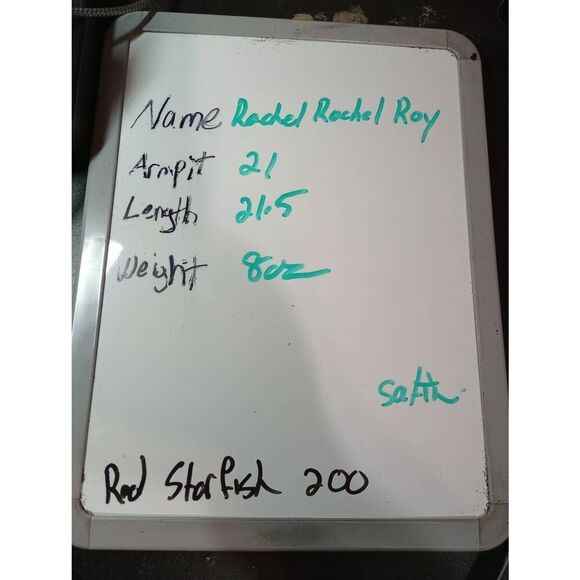 Rachel Rachel Roy Shirt Ladies Medium Cream Button Front Short Sleeve Satin Ligh - Picture 6 of 6